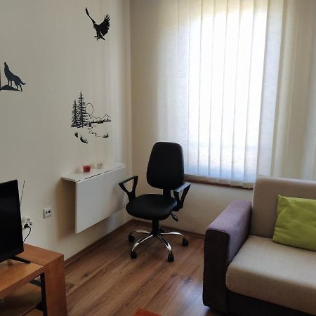 Pine Tree Apartment D34 班斯科 外观 照片