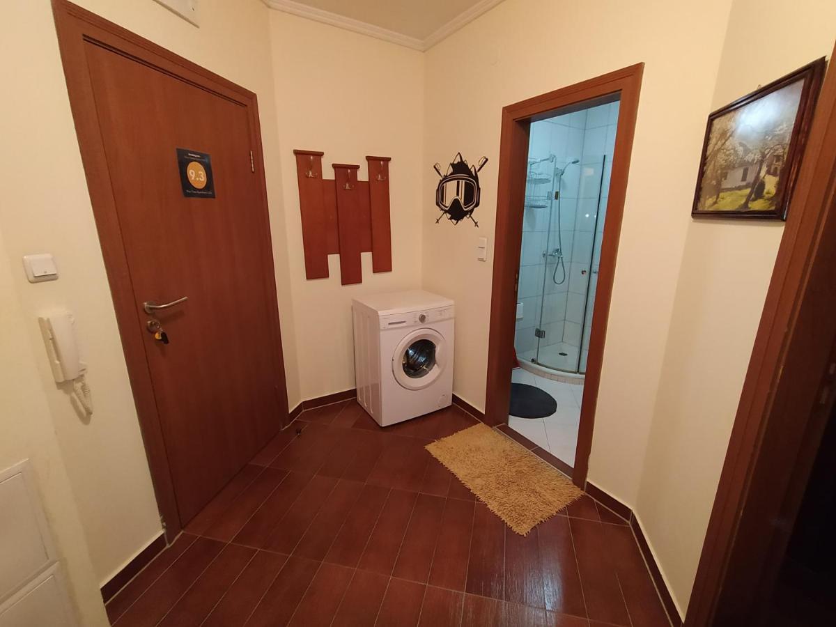 Pine Tree Apartment D34 班斯科 外观 照片