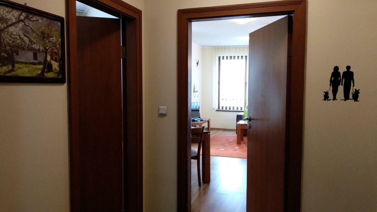 Pine Tree Apartment D34 班斯科 外观 照片